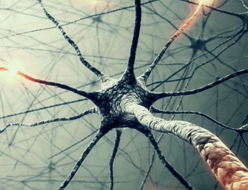 ¿Qué es la Terapia Neural?