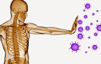 Terapia neural alicante y sistema inmunitario