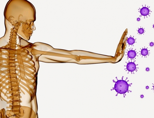Micro-Inmunoterapia: Equilibrio para el sistema inmunitario